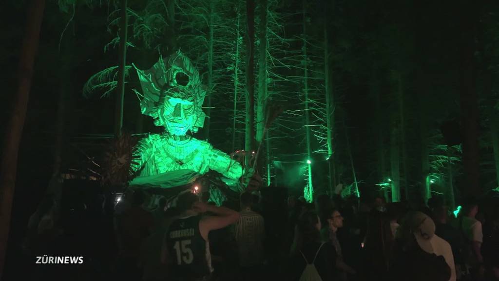 Knatsch um Lärm: Auch am Zürichberg stossen Partys im Wald auf Unverständnis
