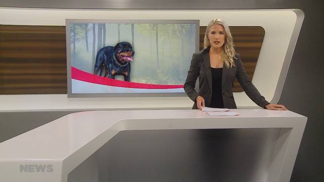 Hund attackiert 8-jähriges Mädchen