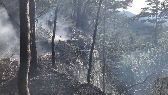 Wald auf dem Roggen bei Balsthal in Brand geraten