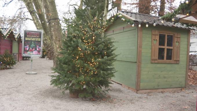 Spurensuche der Weihnachtsbräuche