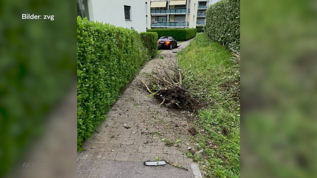 Abgehoben: Autofahrer landet in Safenwil in einem Wohnblock