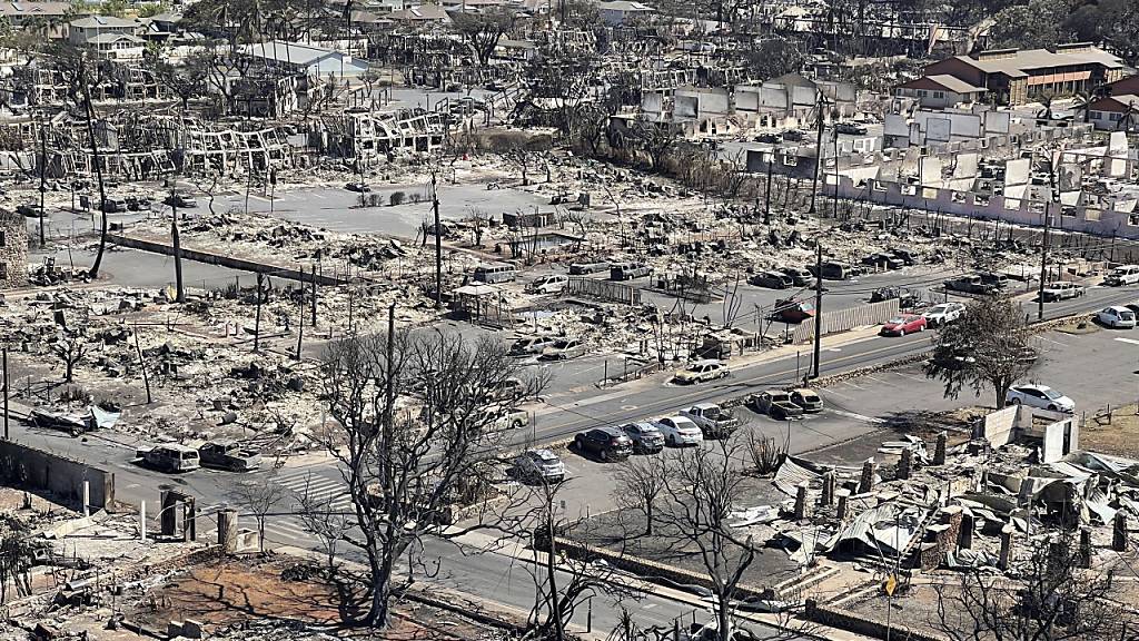 HANDOUT - Dieses vom Hawaii Department of Land and Natural Resources zur Verfügung gestellte Foto zeigt verbrannte Flächen nach einem Waldbrand. Foto: Uncredited/Hawaii Department of Land and Natural Resources/AP - ACHTUNG: Nur zur redaktionellen Verwendung und nur mit vollständiger Nennung des vorstehenden Credits