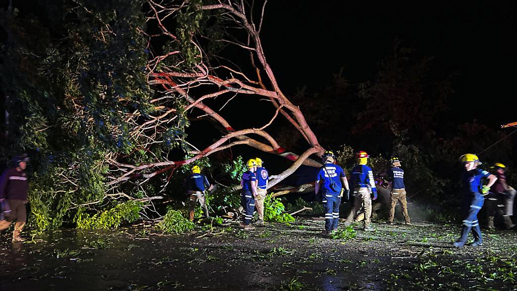 Feuerwehrleute entfernen Bäume, die auf einer Straße in Puerto Vallarta in Mexico liegen. Foto: Valentin Gonzalez/AP/dpa