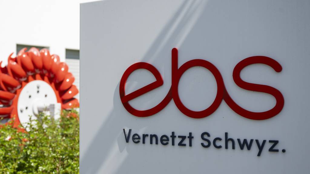 Der Schwyzer Stromversorger EBS will das Elektrizitätswerk von Arth kaufen. (Archivaufnahme)