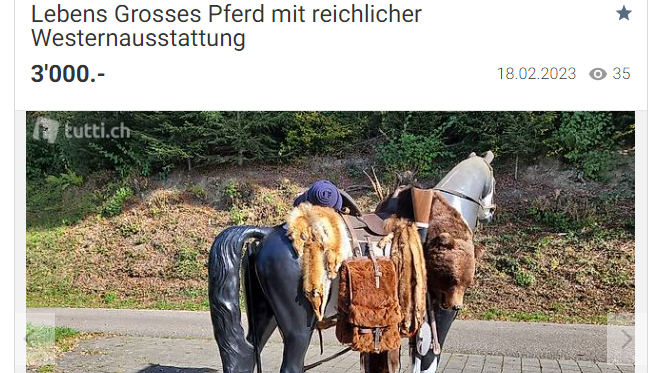 Lebensgrosses Pferd Screenshot Tutti.ch