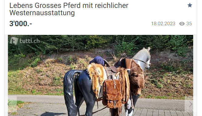 Lebensgrosses Pferd Screenshot Tutti.ch