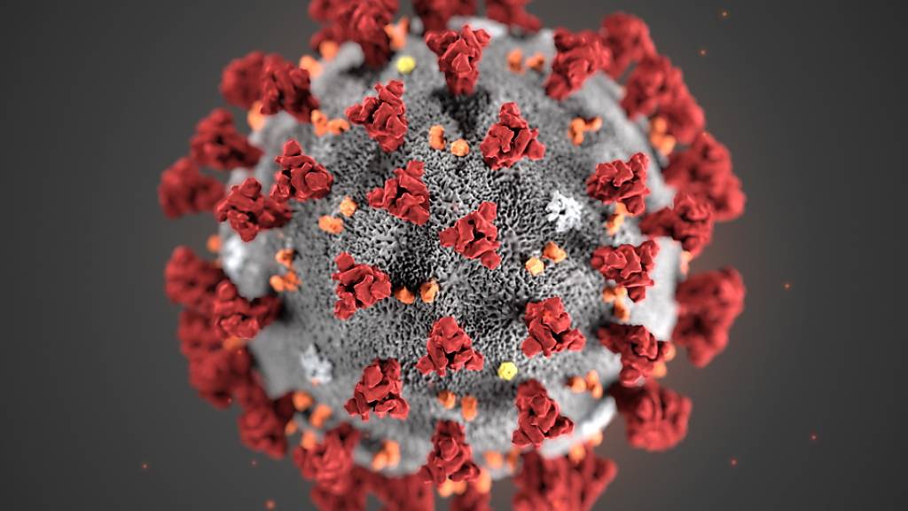 Die Zahl der Ansteckungen mit dem Coronavirus sinkt derzeit nicht mehr. (Archivbild)