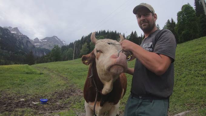 Reichlich Preise für das Oberländische Schwingfest