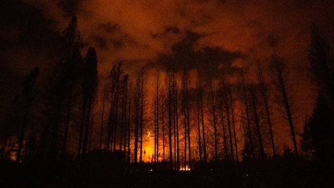 Feuer zerstört grosse Flächen Wald im Süden Argentiniens