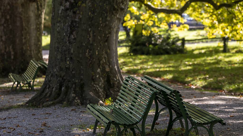 Ein «Central Park am See» versprechen sich die Initianten - doch für den Zürcher Gemeinderat ist die Volksinitiative Mythenpark zu teuer. (Symbolbild)