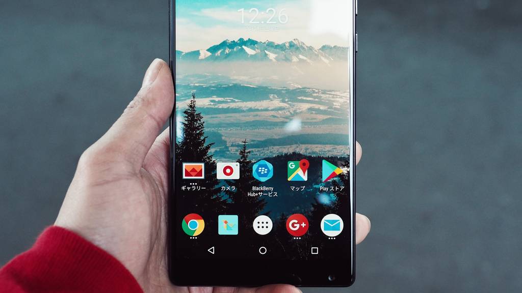 suika-ibuki-606431-unsplash