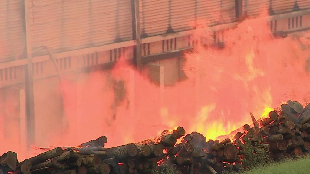 Brand Swiss Krono in Menznau