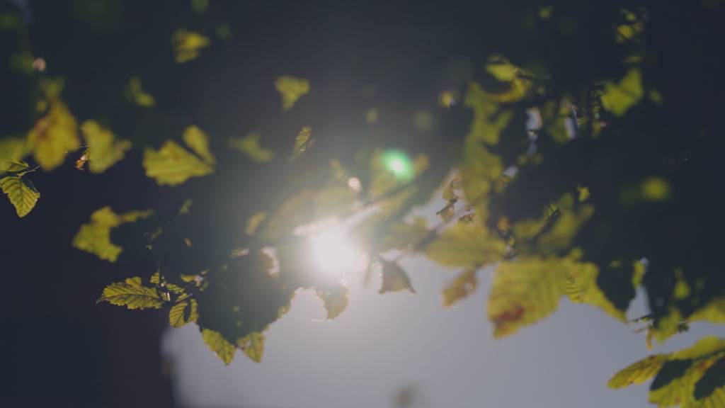 Vorschau Sendung Min Garte