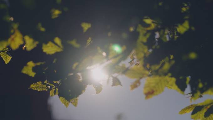 Vorschau Sendung Min Garte