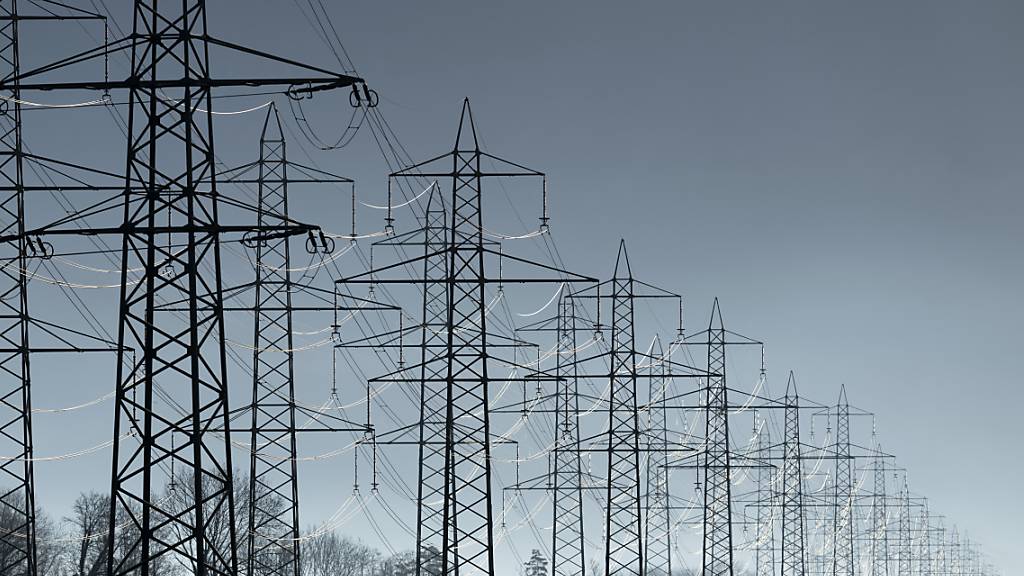 Das Parlament hat sich auf Regeln geeinigt, wie die erneuerbaren Energien im Inland gefördert werden können. (Themenbild)