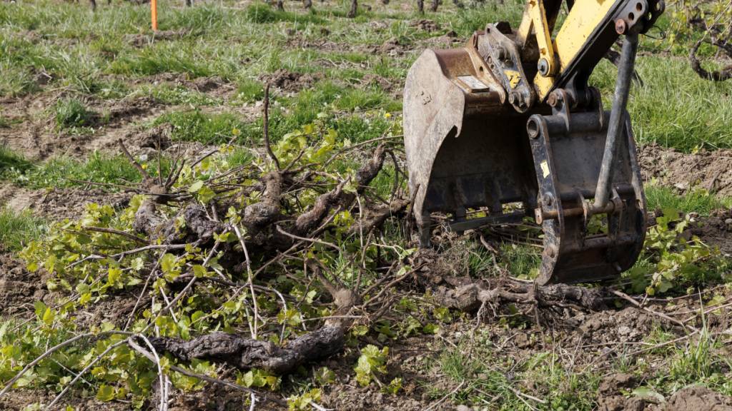 Sarnen OW lässt illegal gebauten Schopf rückbauen