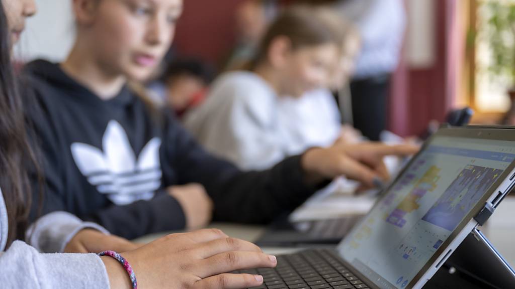 Daten von Schülerinnen und Schüler aus Lernfördersystemen können im Ausland nur noch anonymisiert bearbeitet werden. (Symbolbild)