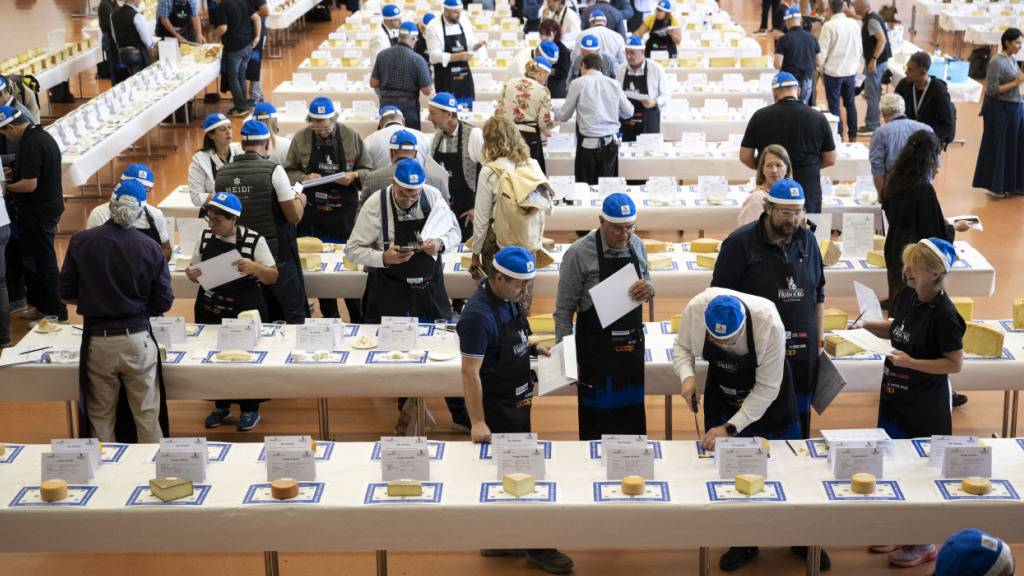 An den Vorausscheidungen im Freiburger Gemeindesaal St-Léonard in Freiburg nahm eine internationale Jury mit mehr als 200 Mitgliedern teil.