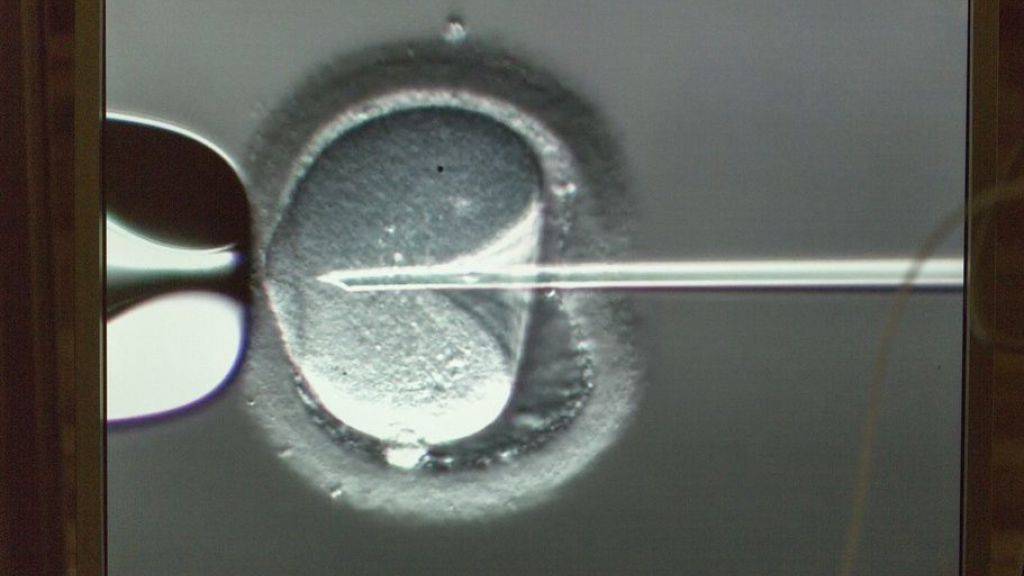 Ein Ei wird künstlich befruchtet. In den letzten zehn Jahren ist das Verfahren deutlich effizienter geworden. Die Zahl der Frauen, die nach der Implantation eines ausserkörperlich gezeugten Embryos schwanger wurden, stieg von einem guten Drittel auf beinahe die Hälfte. (Archivbild)