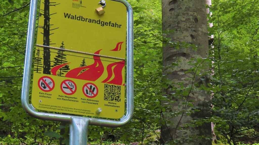 Die Waldbrandgefahr im Kanton Glarus wird aktuell als erheblich eingestuft. (Symbolbild)