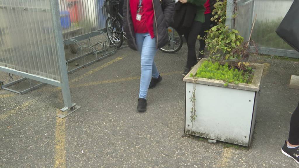 Massenentlassung: Zalando-Zulieferer Ceva Logistics streicht in Neuendorf 350 Stellen