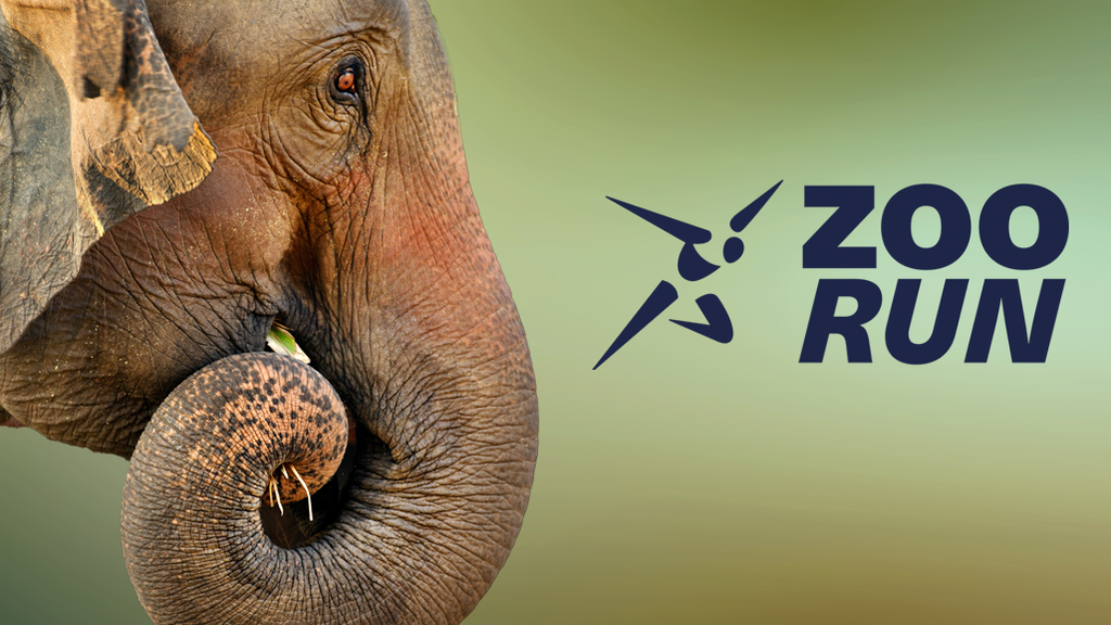 Das war der Weltklasse Zürich Zoo Run 2024