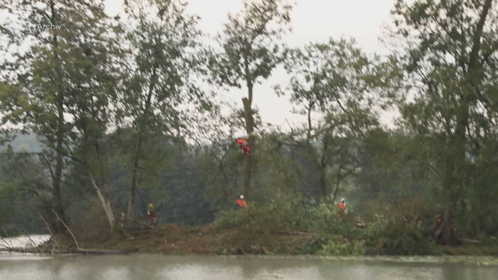 UNESCO-Pfahlbauten im Inkwilersee geschützt