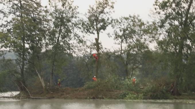 UNESCO-Pfahlbauten im Inkwilersee geschützt