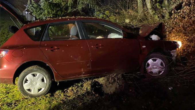 Autofahrerin kracht bei Selbstunfall in Baum und Zaun