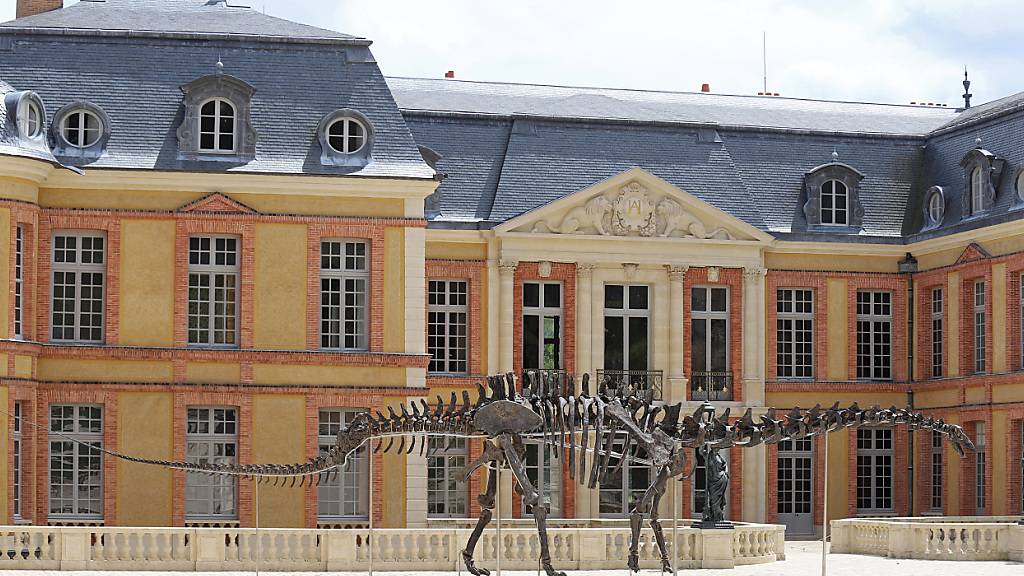 Dinosaurier-Skelett für 4,7 Millionen Euro in Paris versteigert