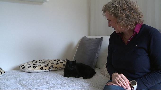Überraschung: Tierretter entdecken in Aarau mehrere vermisste Katzen
