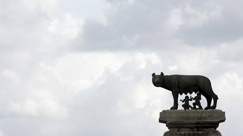 Der Sage nach wurde Rom von den ausgesetzten Brüdern Romulus und Remus gegründet, die von einer Wölfin gesäugt wurden - darauf bezieht sich diese Statue. Nun sind auch echte Wölfe nach Rom zurückgekehrt. (Archiv)