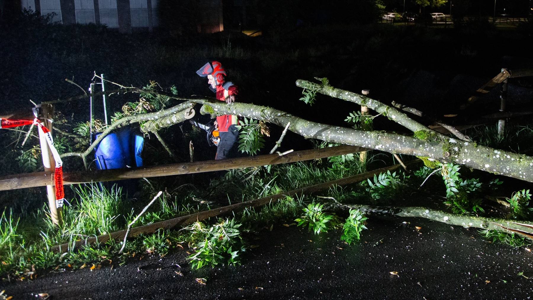 MM135_Kanton Zug_Gewitterfront zieht über den Kanton Zug_umgestürzter Baum_Zanggenrütiweg_Zug