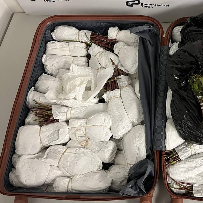 Polizei verhaftet 52-jährigen Briten mit Koffer voller Drogen