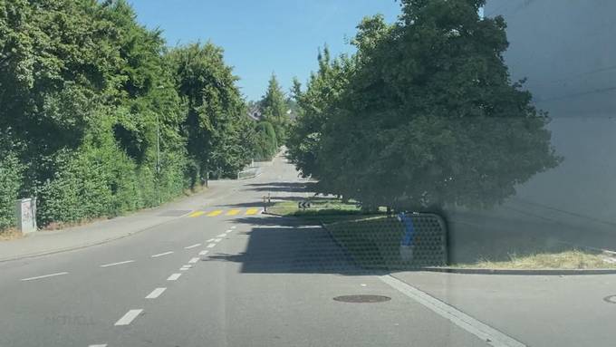 Mit 149 in 30er-Zone: Junger Lernfahrer begeht unter Drogen mehrere Verkehrsdelikte