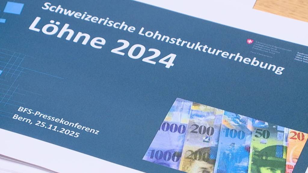 Erhebung zur Lohnstruktur