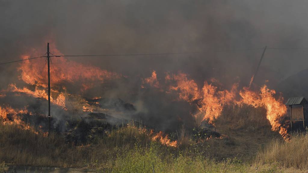 Flammen breiten sich in der Gemeinde Blufi aus. Sizilien, Sardinien, Kalabrien und auch Mittelitalien wurden von Waldbränden schwer getroffen.