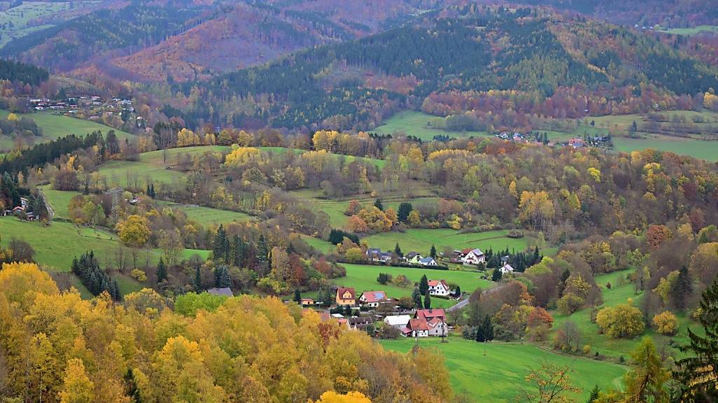 CO2-Entnahme durch Wälder und Ozeane nichts für Netto-Null-Bilanz