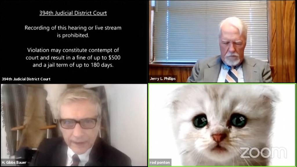 Als Katze vor Gericht: Video von Online-Anhörung sorgt für Erheiterung im Netz