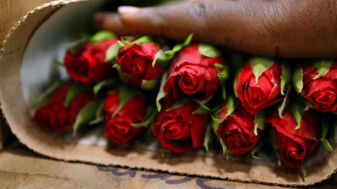Florierender Valentinstag: «Einige Kunden stritten sich um die letzten Rosen»