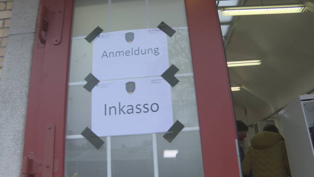 Über 30 Pferde vom Hof in Ramiswil werden in der Nähe von Schönbühl versteigert