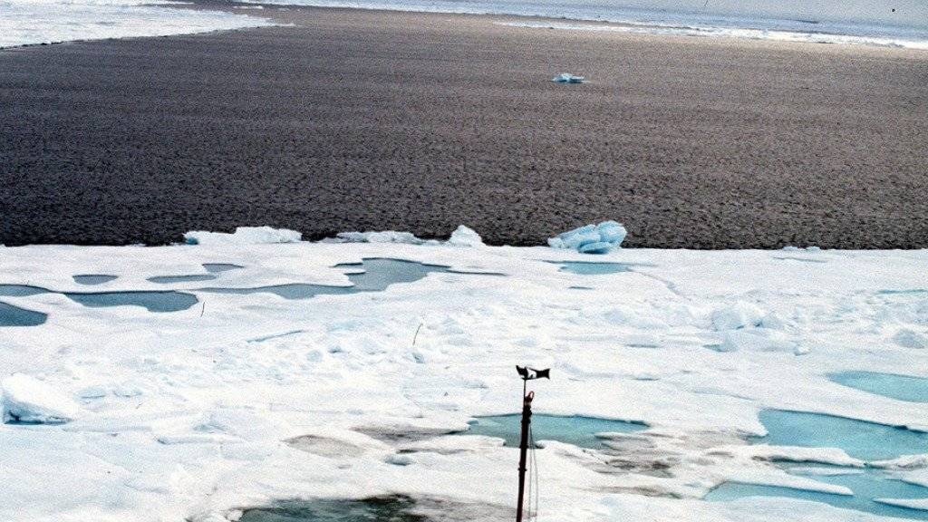 Am Nordpol war es in den vergangenen vier Wochen im Schnitt neun bis zwölf Grad wärmer als normal. (Archivbild)