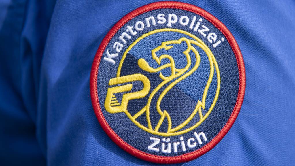 Zürcher Polizei verhaftet Schützen in Regensdorf - keine Verletzten
