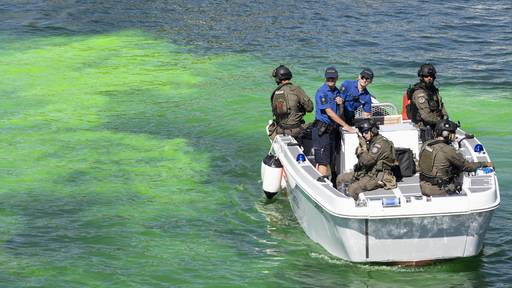 Unbekannte färben Limmat grün – Polizei ermittelt