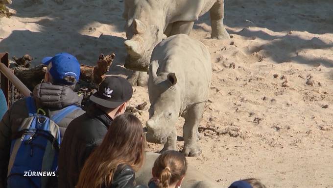 Schönes Wetter: Tennisplätze und Zoos mit grossen Besucherzahlen