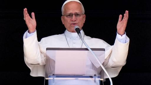 Papst an Lungenkrebs erkrankt