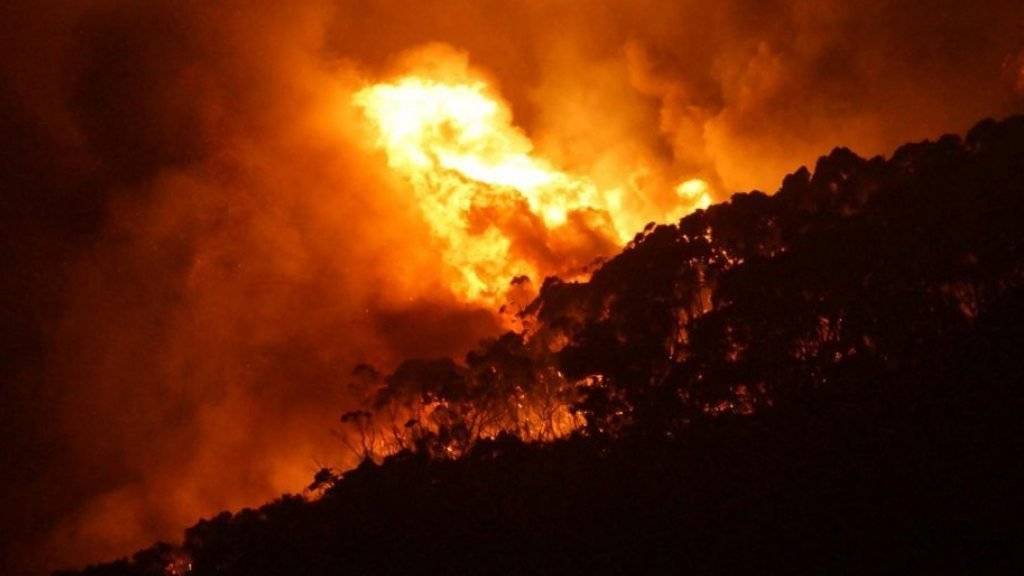 Der höchste Berg der Philippinen steht in Flammen. Hunderte Menschen, darunter viele Touristen, mussten sich vor den Flammen auf dem 3142 Meter hohen Apo in Sicherheit bringen. (Symbolbild)