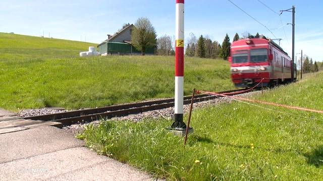 Appenzell: 10-jähriger Töfflifahrer von Zug erfasst