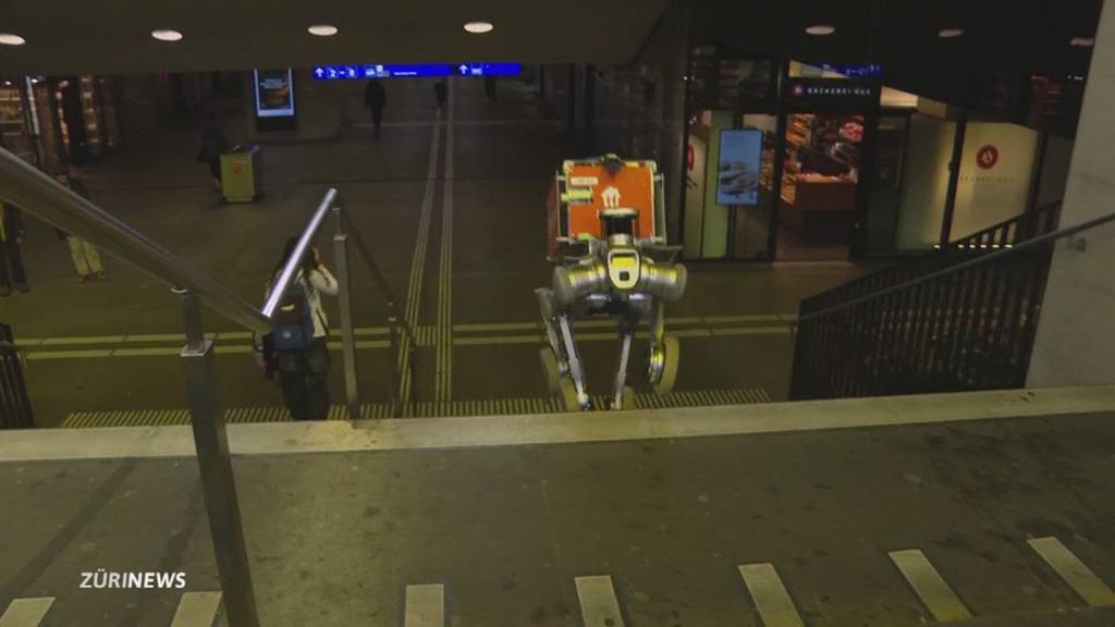Roboter-Hund bringt Essen: Lieferdienst in Zürich testet Hightech-Service