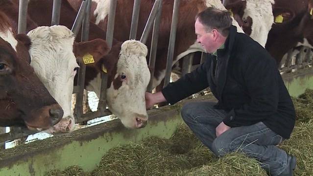 Suizid wegen Milchpreis?